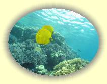 IMG_2007_05_30 13_55_05 * 2190 x 1642 * (571KB)